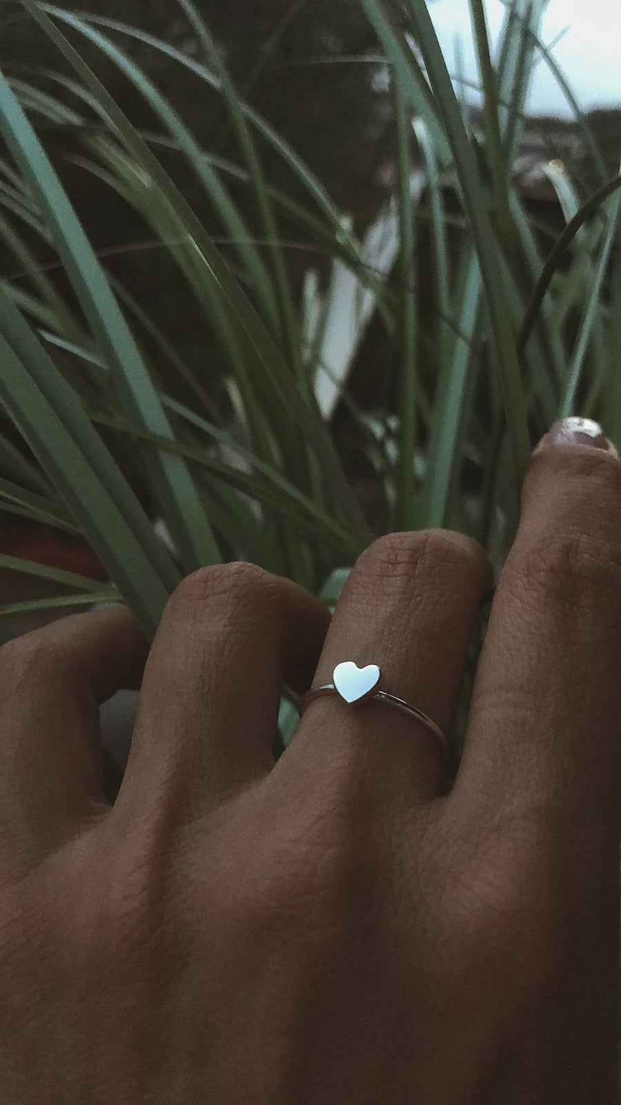 Ekta Ring