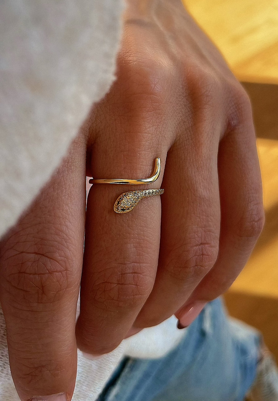 Big Snake Ring